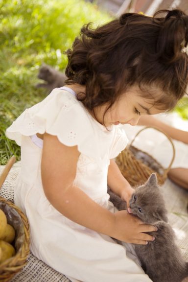 Familienfotografie mit Katzenbabys