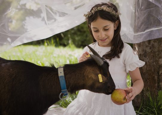 professionelle Tierbabyfotografie in Kempten